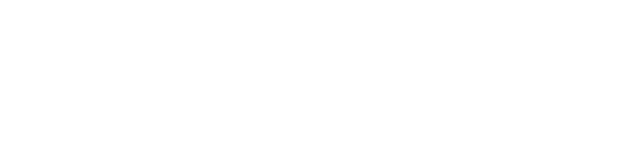 AG AUTO